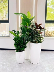 了解宁波海曙绿化养护价格，看这篇就够！