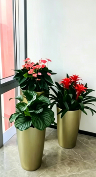 杭州湾办公室绿植租赁-海曙花木租赁方案设计-宁波办公室花卉出租方便吗-宁波花木租摆效果