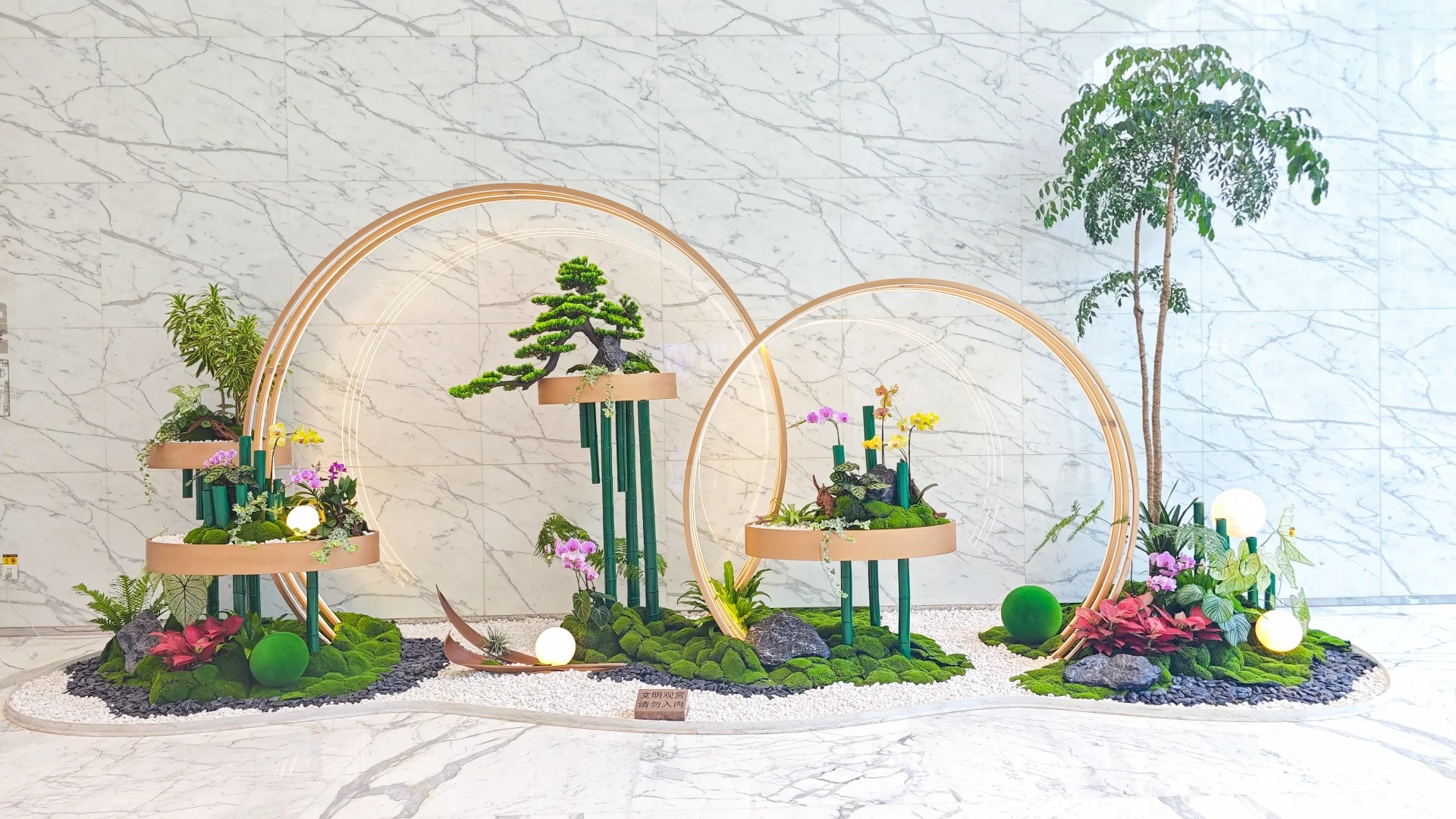 余姚盆景出租价格究竟多少？速来了解详情！