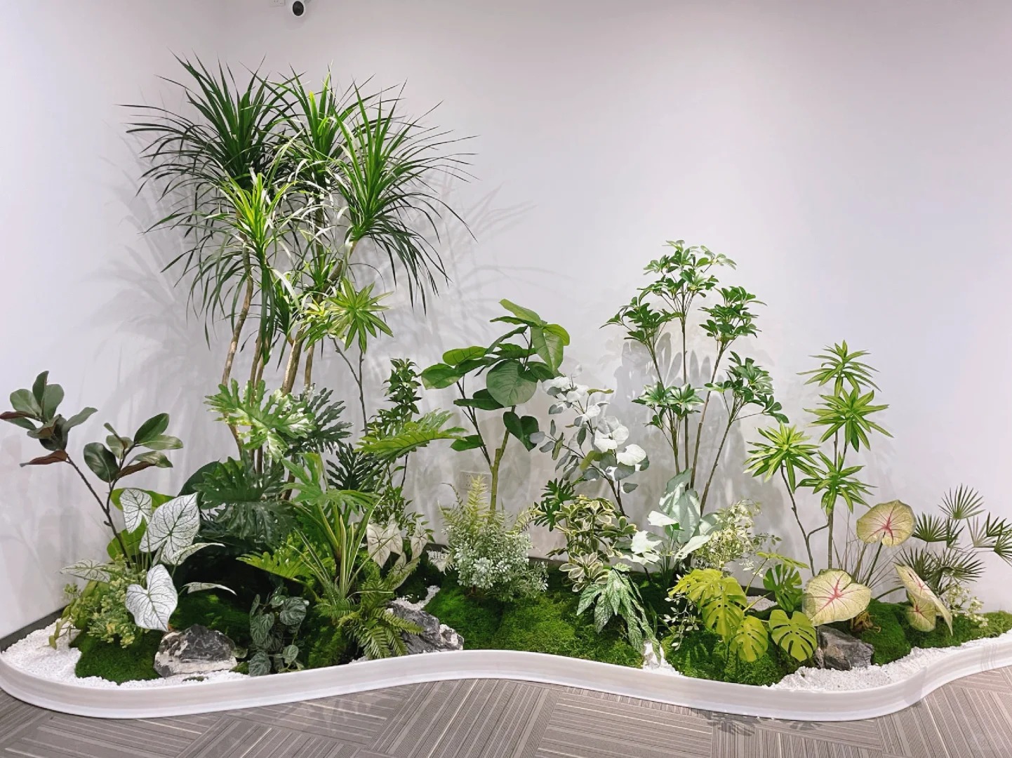 余姚盆景租摆哪家强？这几家千万别错过！